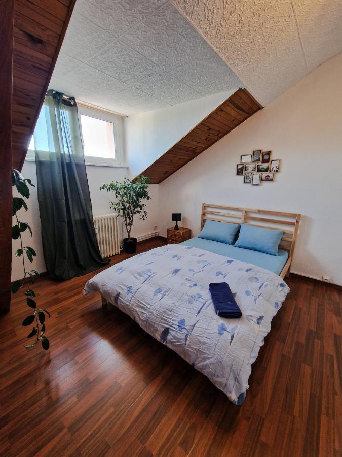 Nice Room 4 Minutes From Basel Shared Apartment Saint-Louis  Exterior foto