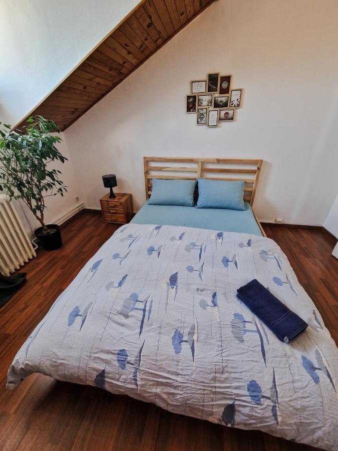 Nice Room 4 Minutes From Basel Shared Apartment Saint-Louis  Exterior foto